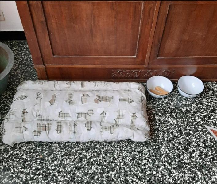 Apartament La Tana Dei Conigli Serra Rocco Zewnętrze zdjęcie