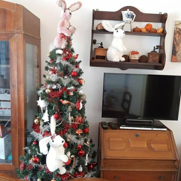 Apartament La Tana Dei Conigli Serra Rocco Zewnętrze zdjęcie