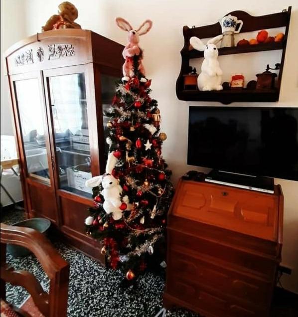 Apartament La Tana Dei Conigli Serra Rocco Zewnętrze zdjęcie